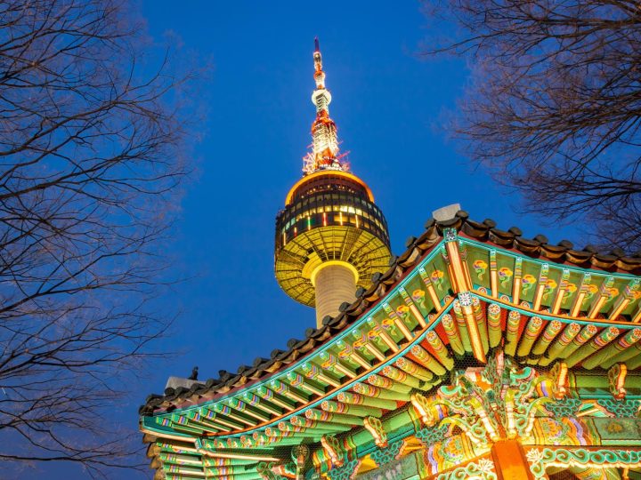 Esclusivo: scopri cosa nasconde il misterioso viaggio nella Corea del Nord!